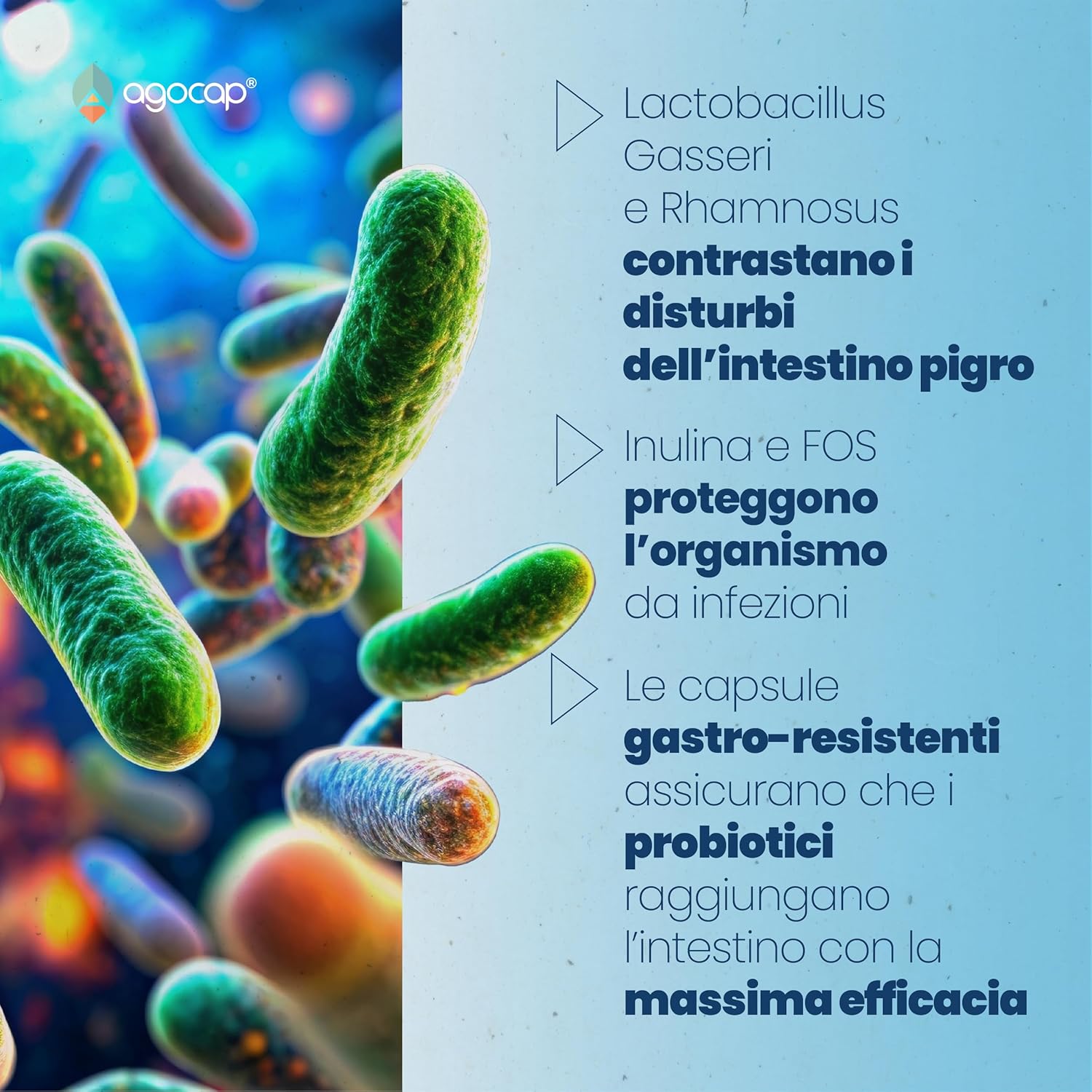 Agocap Benessere Intestinale ProLactic probiotique digestion