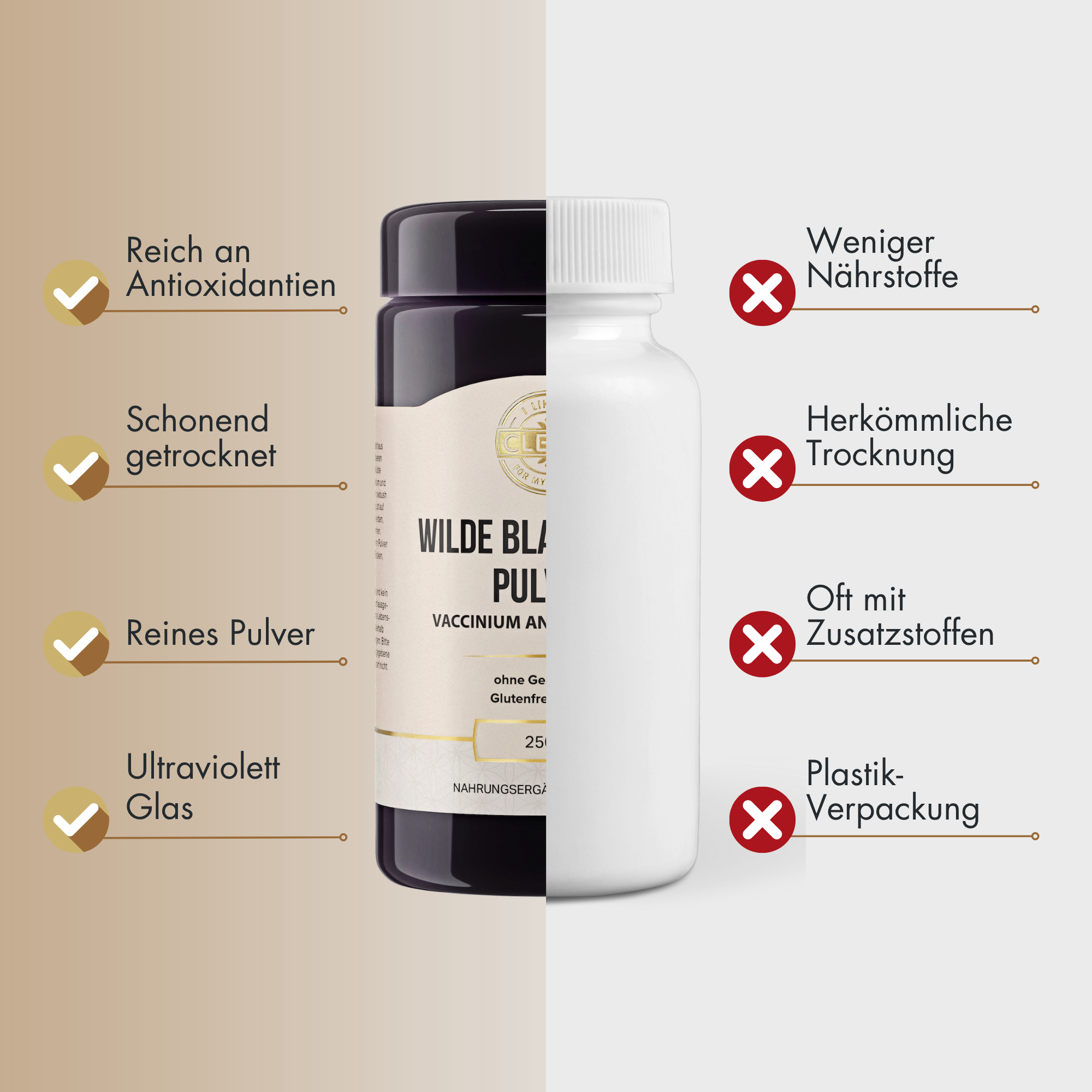 i like it clean Wilde Blaubeere poudre 250 g vegan