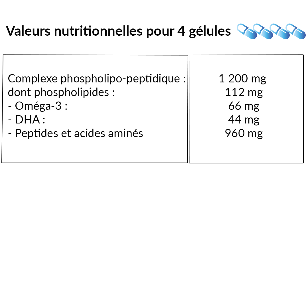 Le Stum Équilibre Cérébral Vectomega oméga-3 concentration