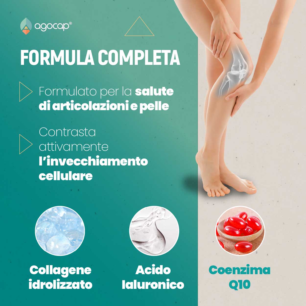 Agocap Collagenaid collagène articulations acide hyaluronique