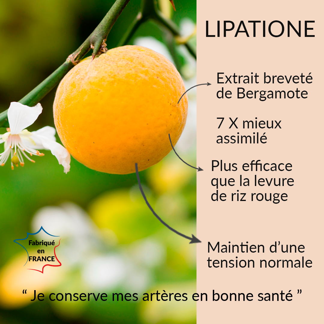 Le Stum Lipatione Complément Cœur Bergamote