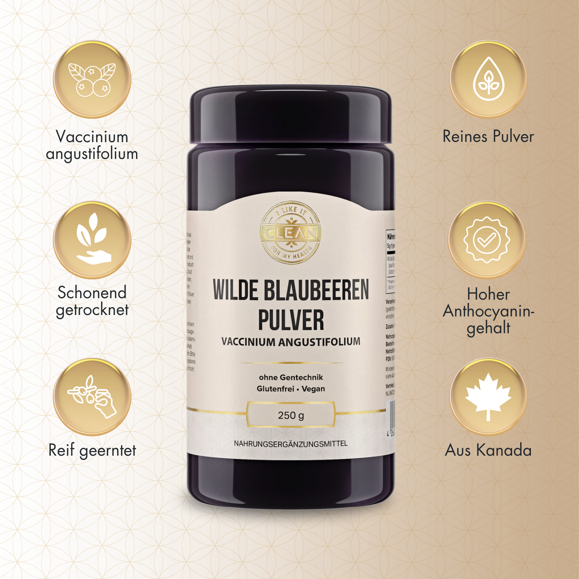 i like it clean Wilde Blaubeere poudre 250 g vegan