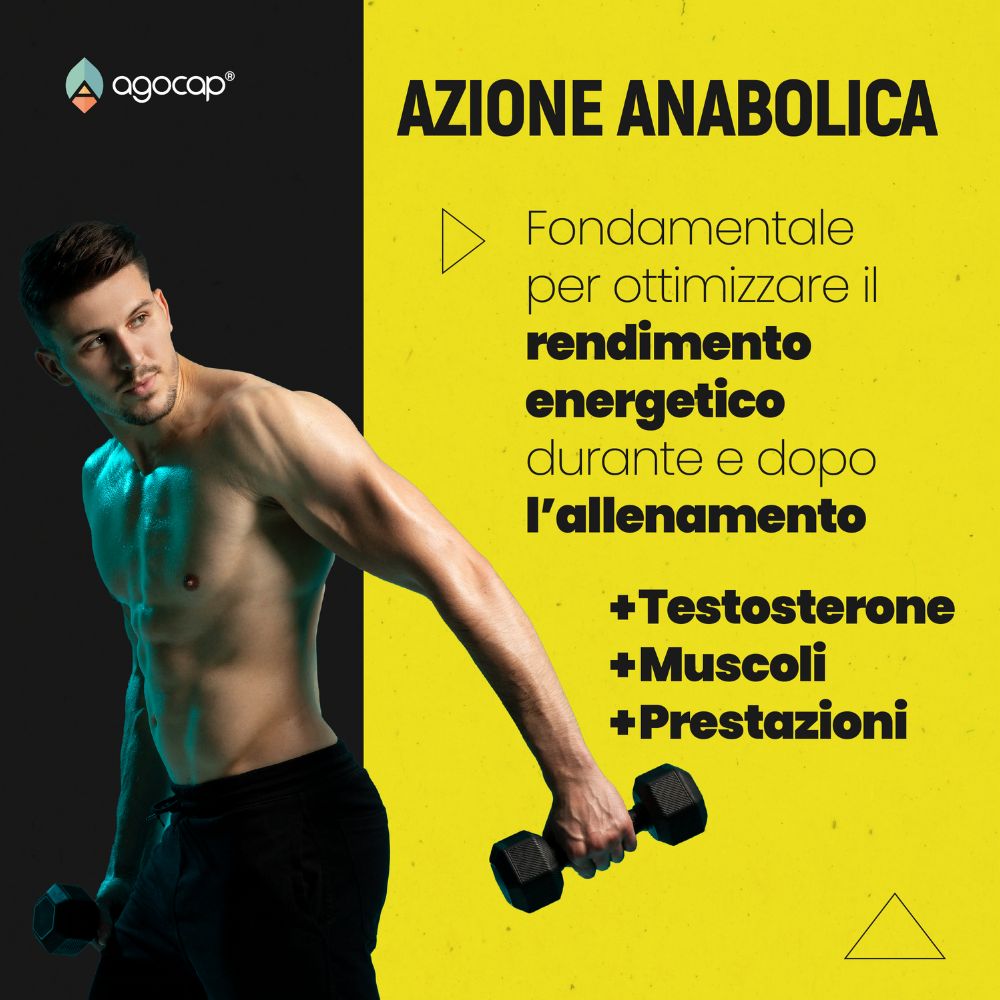 Agocap ZMA Plus zinc magnésium B6 complément 180 gélules sport
