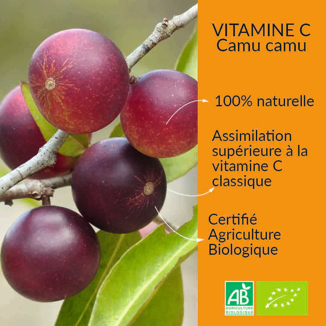 Le Stum Vitamine C Camu Camu Bio Complément Fatigue