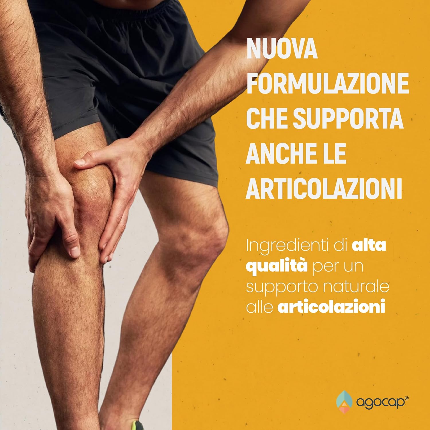 Agocap Curcumaid Pro curcuma complément digestion pipérine
