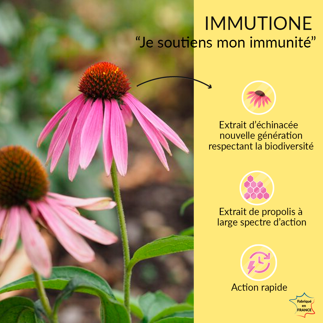 Le Stum Immunité Immutione Gélules défenses échinacée
