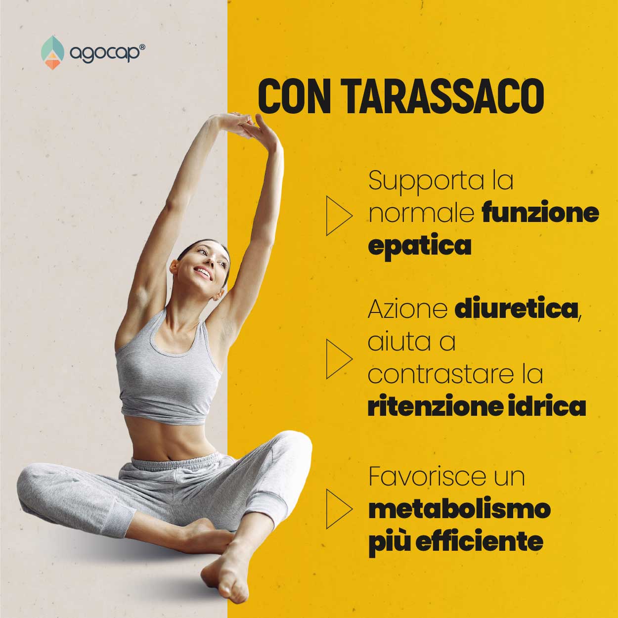 Agocap Detox Bromelina Forte complément drainant pissenlit