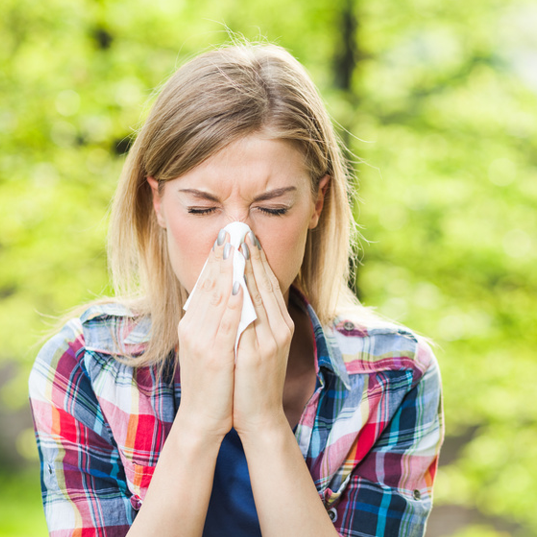 Le Stum Immunité Immutione Gélules défenses échinacée