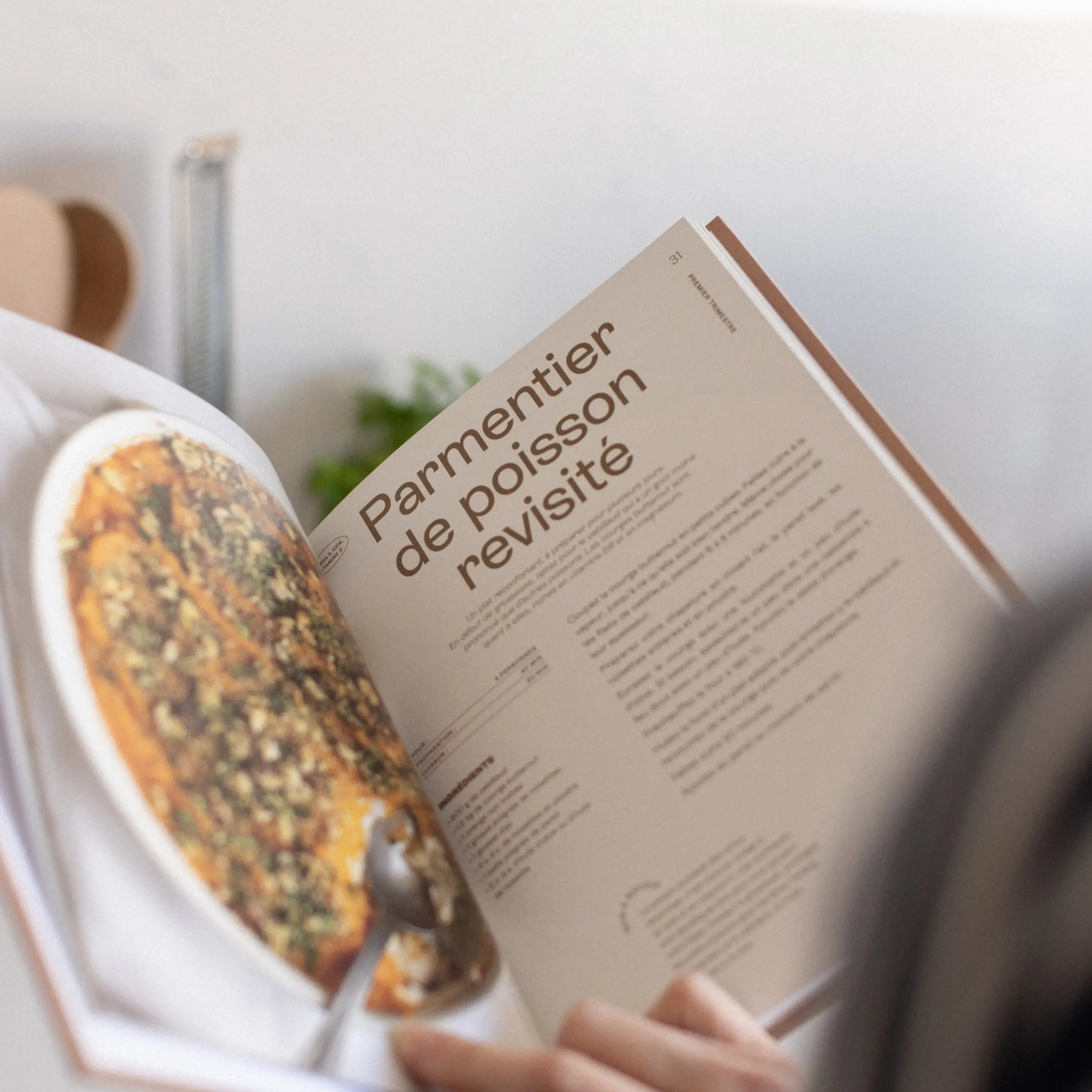 Jolly Mama Le livre gourmand de la grossesse 40 recettes
