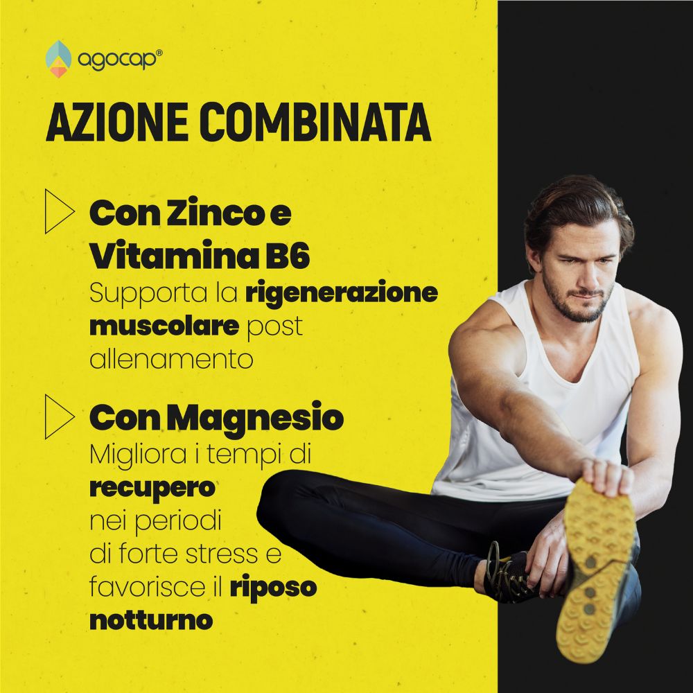 Agocap ZMA Plus zinc magnésium B6 complément 180 gélules sport