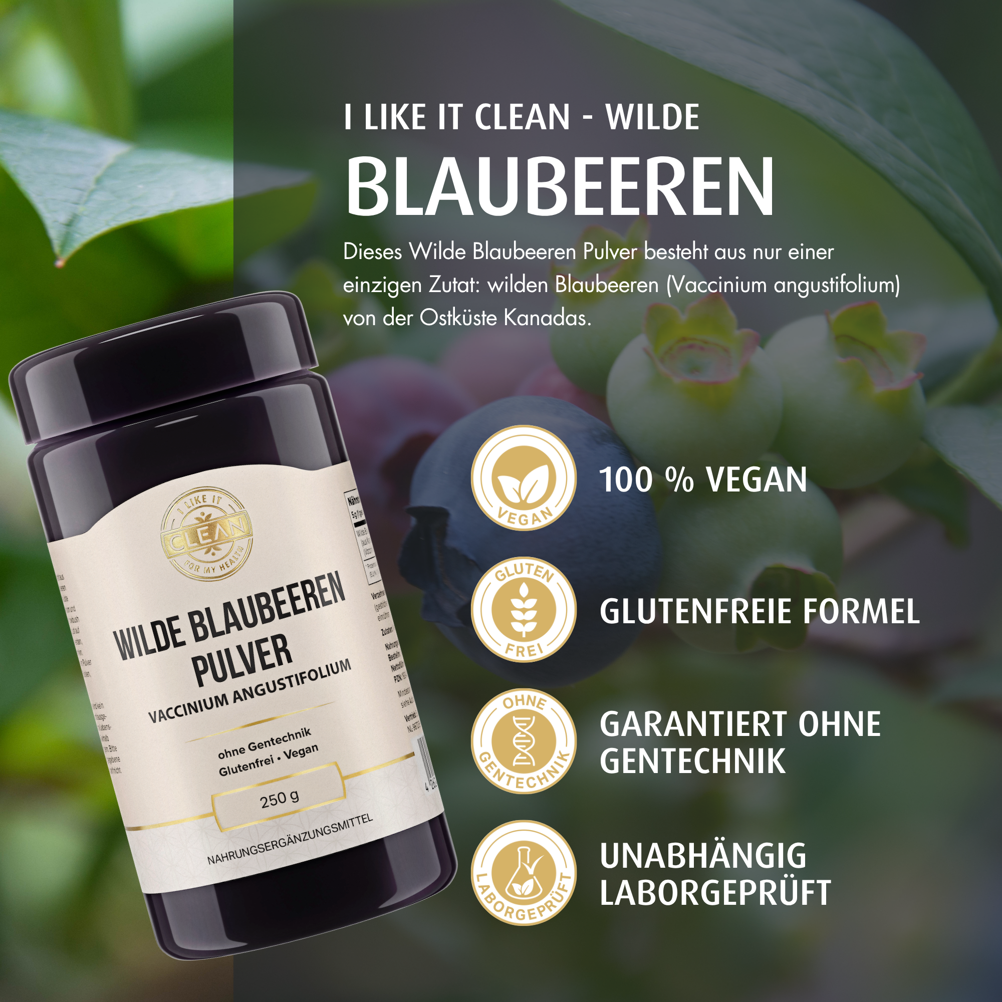 i like it clean Wilde Blaubeere poudre 250 g vegan