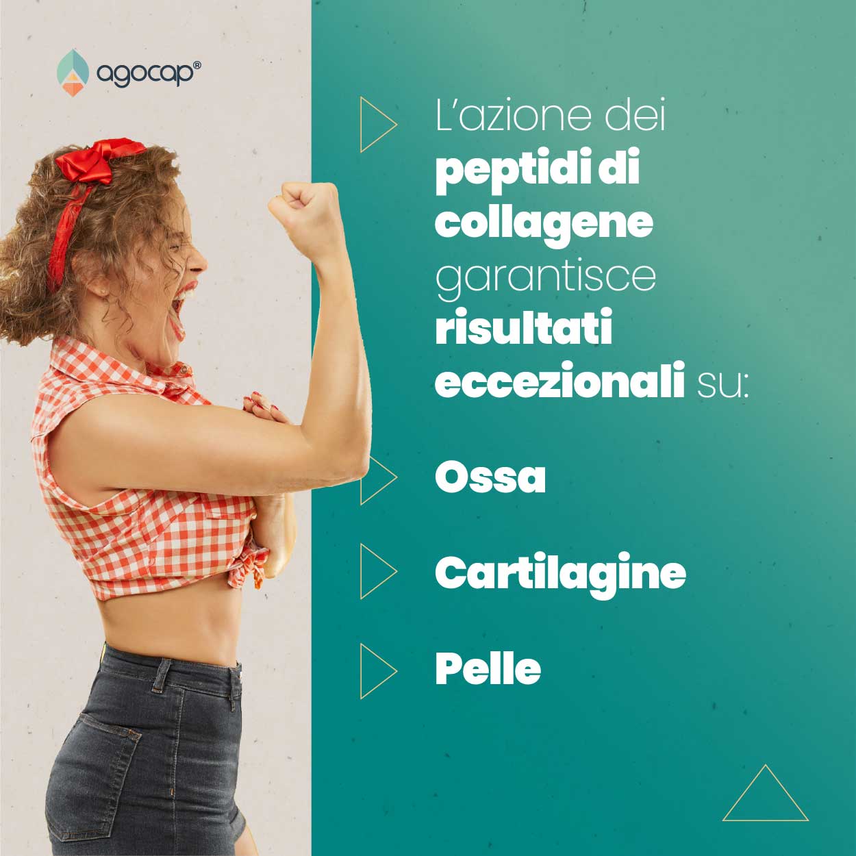 Agocap Collagenaid collagène articulations acide hyaluronique
