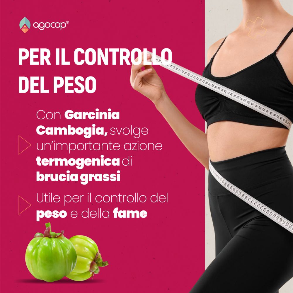 Agocap Isovamp complément ménopause isoflavones